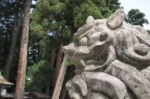 白山比咩神社の狛犬