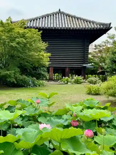 東寺（教王護国寺）(京都府)