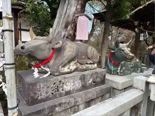 長岡天満宮(京都府)