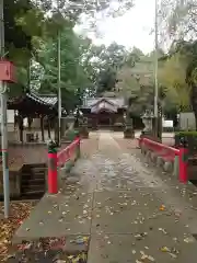 林神社(埼玉県)