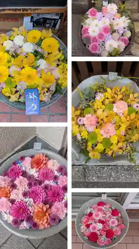 富岡八幡宮(東京都)