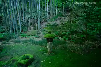 報国寺(神奈川県)