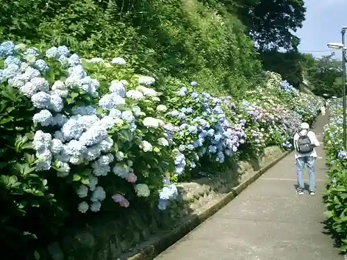 成就院の庭園