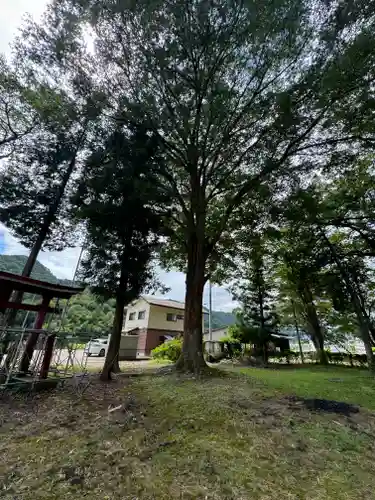 小玉川神社(長野県)