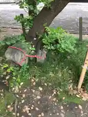 泥江縣神社の建物その他