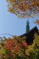 豪徳寺のその他建物