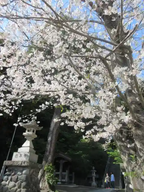 甘縄神明神社(甘縄神明宮)の景色