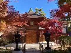 豪徳寺(東京都)