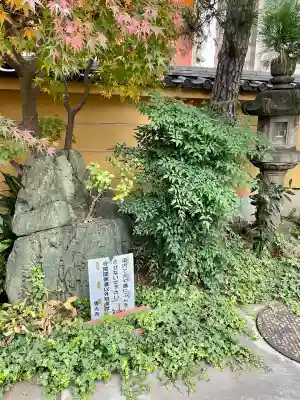 専光寺(東京都)