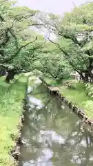 川越氷川神社の周辺