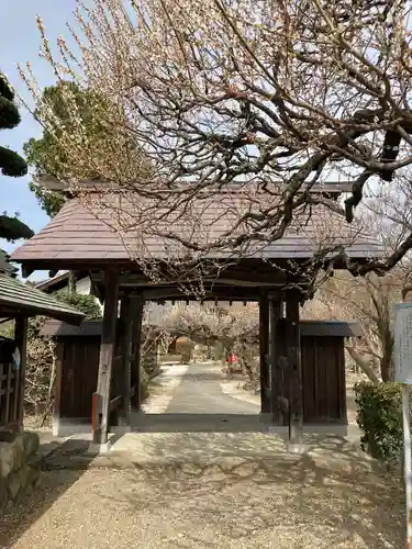 地蔵院(東京都)