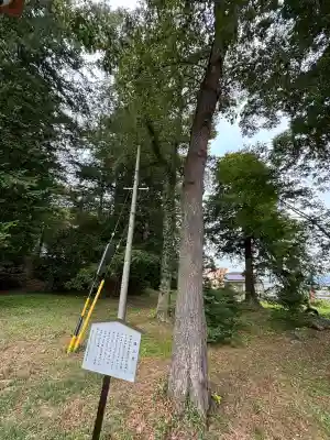 諏訪大社上社前宮(長野県)