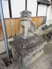 春日若宮神社の狛犬