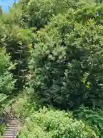 富士見稲荷神社(埼玉県)