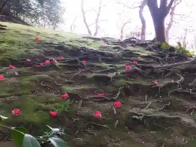 城南宮(京都府)