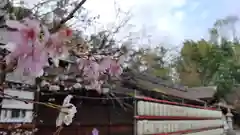 平野神社の自然