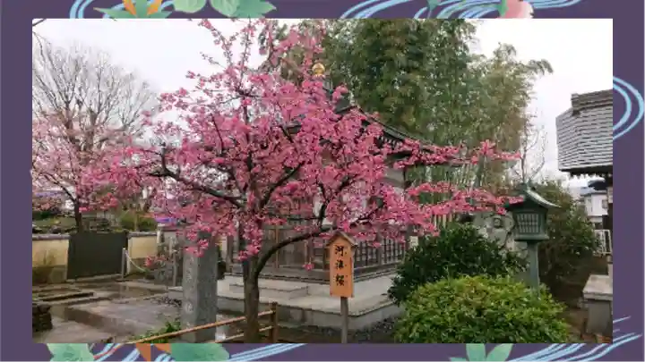 芳林寺(埼玉県)