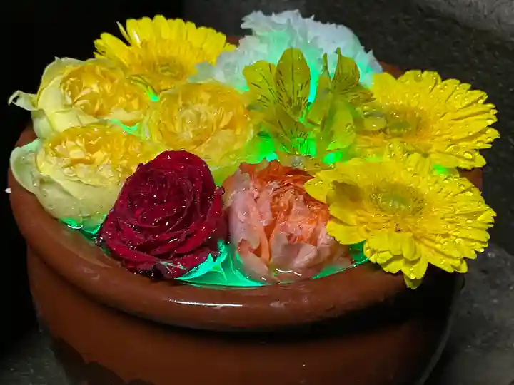 菅生神社(愛知県)