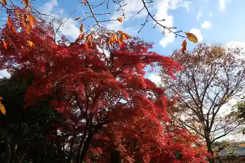 石座神社(京都府)