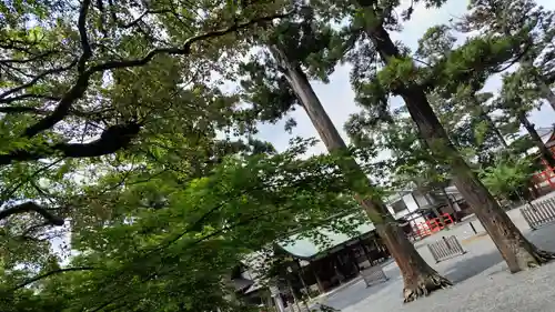 吉田神社(京都府)