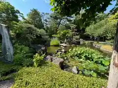 西新井大師総持寺(東京都)