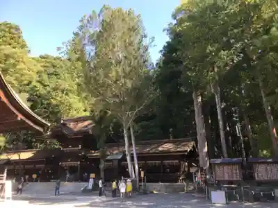 諏訪大社下社秋宮の本殿・本堂