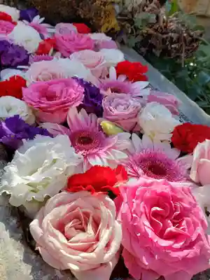 本郷氷川神社(東京都)