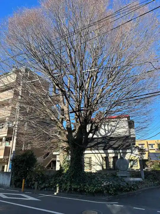 小野神社の自然