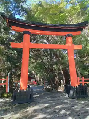 宇佐神宮の鳥居