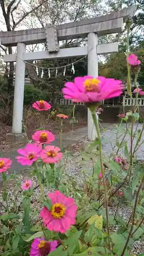 日光鹿島神社の鳥居