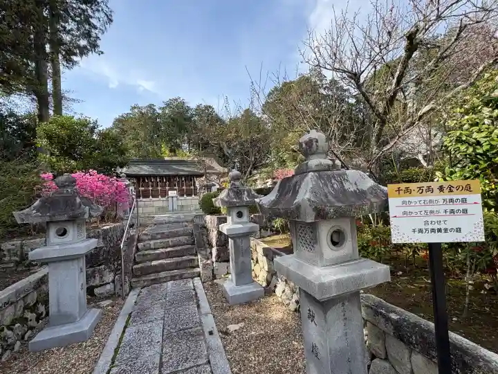 神田神社の{uncategorized: "未分類", other: "その他", undefined: "問題あり", building: "その他建物", grave: "お墓", sacred_gate: "鳥居", guardian: "狛犬", statue: "像", buddha: "仏像", history: "歴史", nature: "自然", garden: "庭園", animal: "動物", pagoda: "塔", temizu: "手水舎", mountain_gate: "山門・神門", sanctuary: "本殿・本堂", subordinate: "末社・摂社", art: "芸術", scenery: "景色", jizo: "地蔵", ema: "絵馬", goshuin: "御朱印", omikuji: "おみくじ", items: "授与品その他", amulet: "お守り", goshuincho: "御朱印帳", eats: "食事", festival: "お祭り", votive_dance: "神楽", shichigosan: "七五三参", wedding: "結婚式", experience: "体験その他", initially: "初詣", around: "周辺", anti_infection: "感染症対策"}