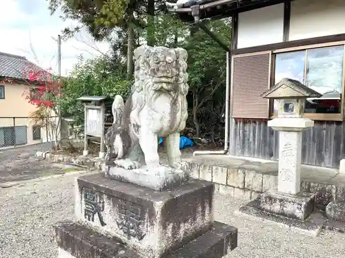 小松神社の狛犬