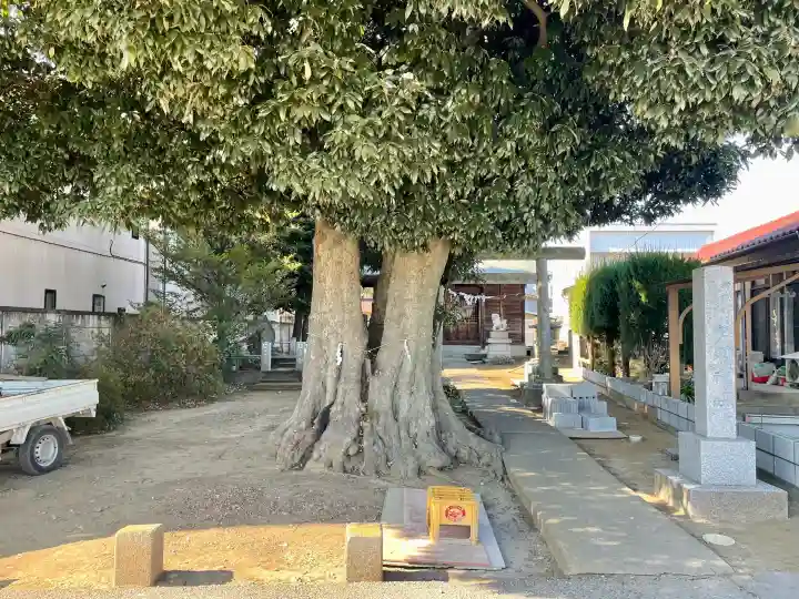 御嶽神社の{uncategorized: "未分類", other: "その他", undefined: "問題あり", building: "その他建物", grave: "お墓", sacred_gate: "鳥居", guardian: "狛犬", statue: "像", buddha: "仏像", history: "歴史", nature: "自然", garden: "庭園", animal: "動物", pagoda: "塔", temizu: "手水舎", mountain_gate: "山門・神門", sanctuary: "本殿・本堂", subordinate: "末社・摂社", art: "芸術", scenery: "景色", jizo: "地蔵", ema: "絵馬", goshuin: "御朱印", omikuji: "おみくじ", items: "授与品その他", amulet: "お守り", goshuincho: "御朱印帳", eats: "食事", festival: "お祭り", votive_dance: "神楽", shichigosan: "七五三参", wedding: "結婚式", experience: "体験その他", initially: "初詣", around: "周辺", anti_infection: "感染症対策"}