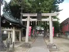 柴又八幡神社(東京都)