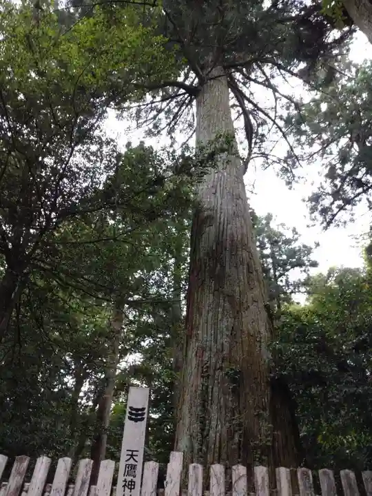 天鷹神社(岐阜県)