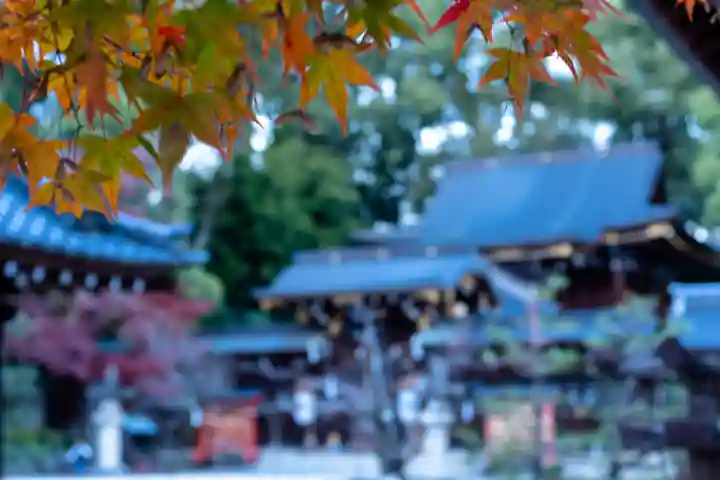 今宮神社(京都府)