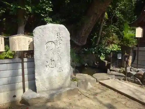 師岡熊野神社の建物その他