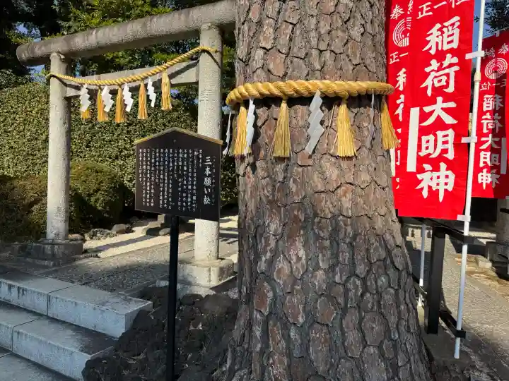 中野沼袋氷川神社の{uncategorized: "未分類", other: "その他", undefined: "問題あり", building: "その他建物", grave: "お墓", sacred_gate: "鳥居", guardian: "狛犬", statue: "像", buddha: "仏像", history: "歴史", nature: "自然", garden: "庭園", animal: "動物", pagoda: "塔", temizu: "手水舎", mountain_gate: "山門・神門", sanctuary: "本殿・本堂", subordinate: "末社・摂社", art: "芸術", scenery: "景色", jizo: "地蔵", ema: "絵馬", goshuin: "御朱印", omikuji: "おみくじ", items: "授与品その他", amulet: "お守り", goshuincho: "御朱印帳", eats: "食事", festival: "お祭り", votive_dance: "神楽", shichigosan: "七五三参", wedding: "結婚式", experience: "体験その他", initially: "初詣", around: "周辺", anti_infection: "感染症対策"}