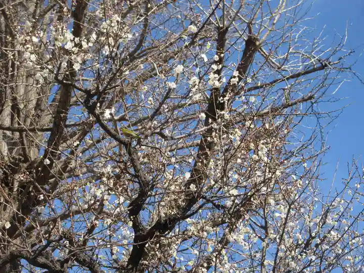 天満天神社(神奈川県)