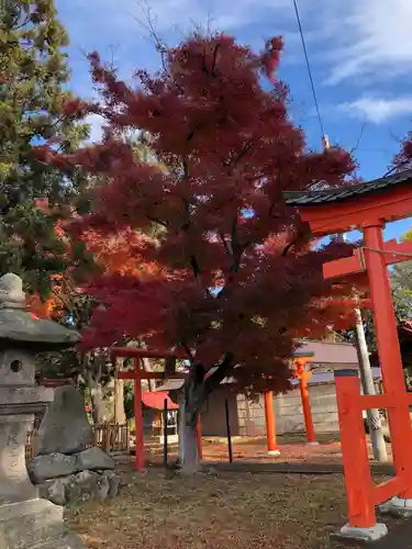 熊野奥照神社(青森県)