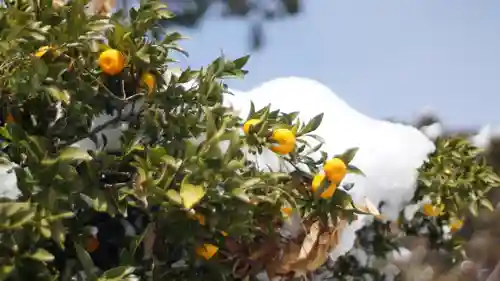 梅宮大社(京都府)