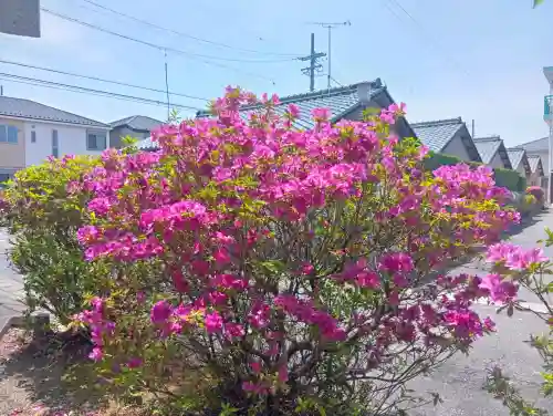 諏訪神社の{uncategorized: "未分類", other: "その他", undefined: "問題あり", building: "その他建物", grave: "お墓", sacred_gate: "鳥居", guardian: "狛犬", statue: "像", buddha: "仏像", history: "歴史", nature: "自然", garden: "庭園", animal: "動物", pagoda: "塔", temizu: "手水舎", mountain_gate: "山門・神門", sanctuary: "本殿・本堂", subordinate: "末社・摂社", art: "芸術", scenery: "景色", jizo: "地蔵", ema: "絵馬", goshuin: "御朱印", omikuji: "おみくじ", items: "授与品その他", amulet: "お守り", goshuincho: "御朱印帳", eats: "食事", festival: "お祭り", votive_dance: "神楽", shichigosan: "七五三参", wedding: "結婚式", experience: "体験その他", initially: "初詣", around: "周辺", anti_infection: "感染症対策"}