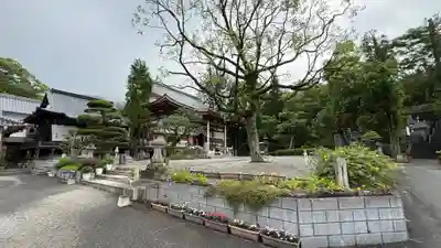 善楽寺(高知県)