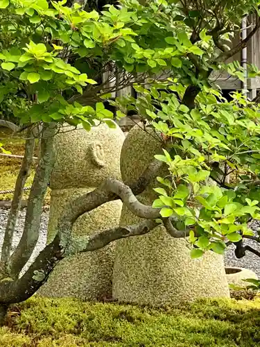 大雄院(京都府)