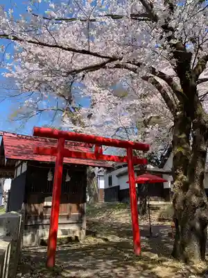 飯笠山神社(長野県)