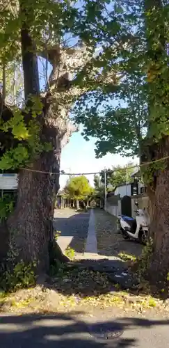 愛宕神社の自然