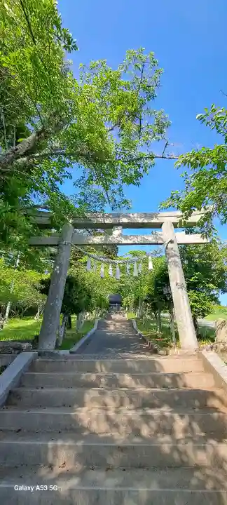蛇ケ崎八幡神社の{uncategorized: "未分類", other: "その他", undefined: "問題あり", building: "その他建物", grave: "お墓", sacred_gate: "鳥居", guardian: "狛犬", statue: "像", buddha: "仏像", history: "歴史", nature: "自然", garden: "庭園", animal: "動物", pagoda: "塔", temizu: "手水舎", mountain_gate: "山門・神門", sanctuary: "本殿・本堂", subordinate: "末社・摂社", art: "芸術", scenery: "景色", jizo: "地蔵", ema: "絵馬", goshuin: "御朱印", omikuji: "おみくじ", items: "授与品その他", amulet: "お守り", goshuincho: "御朱印帳", eats: "食事", festival: "お祭り", votive_dance: "神楽", shichigosan: "七五三参", wedding: "結婚式", experience: "体験その他", initially: "初詣", around: "周辺", anti_infection: "感染症対策"}