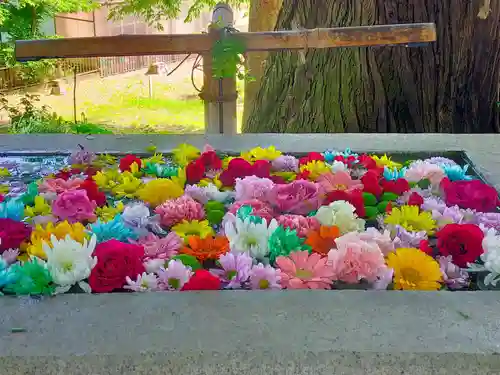 糀谷八幡宮(埼玉県)