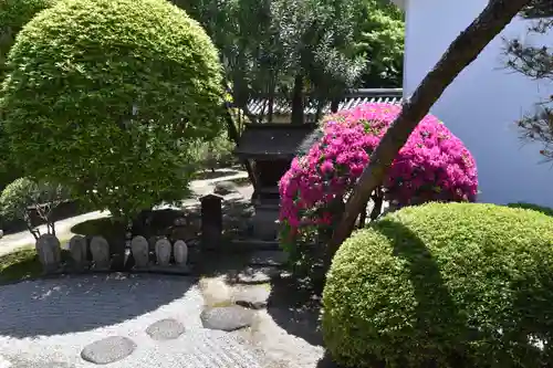 観智院（東寺子院）の庭園