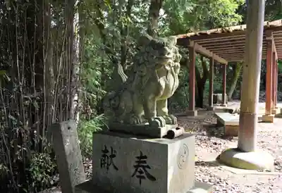 伊加々志神社(徳島県)